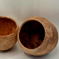 Bael Pods – 3 Pack (Natural Aquarium Botanicals)