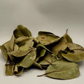 Palu Leaves – 50 Pack (Natural Aquarium Botanicals)