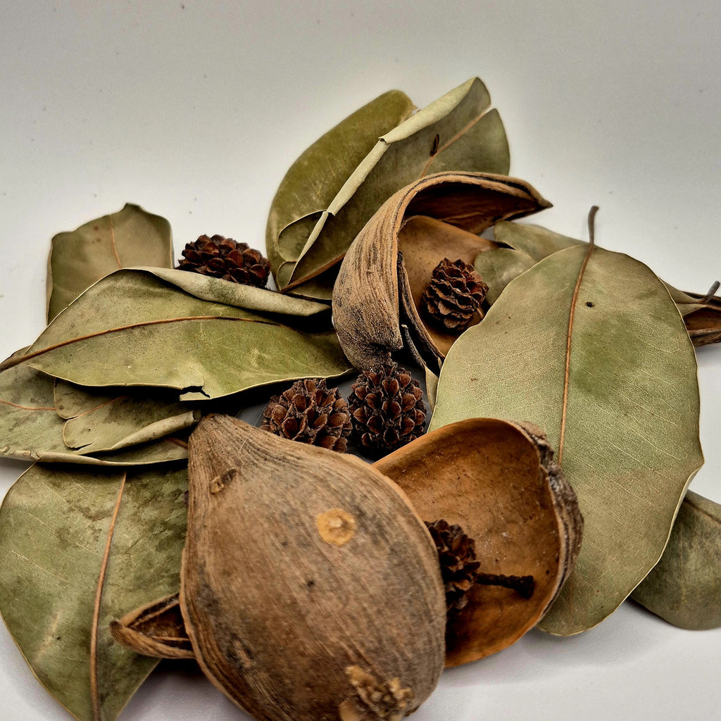 Sink & Scatter Pack – Palu Leaves, Dregea Pods & Casuarina Pods