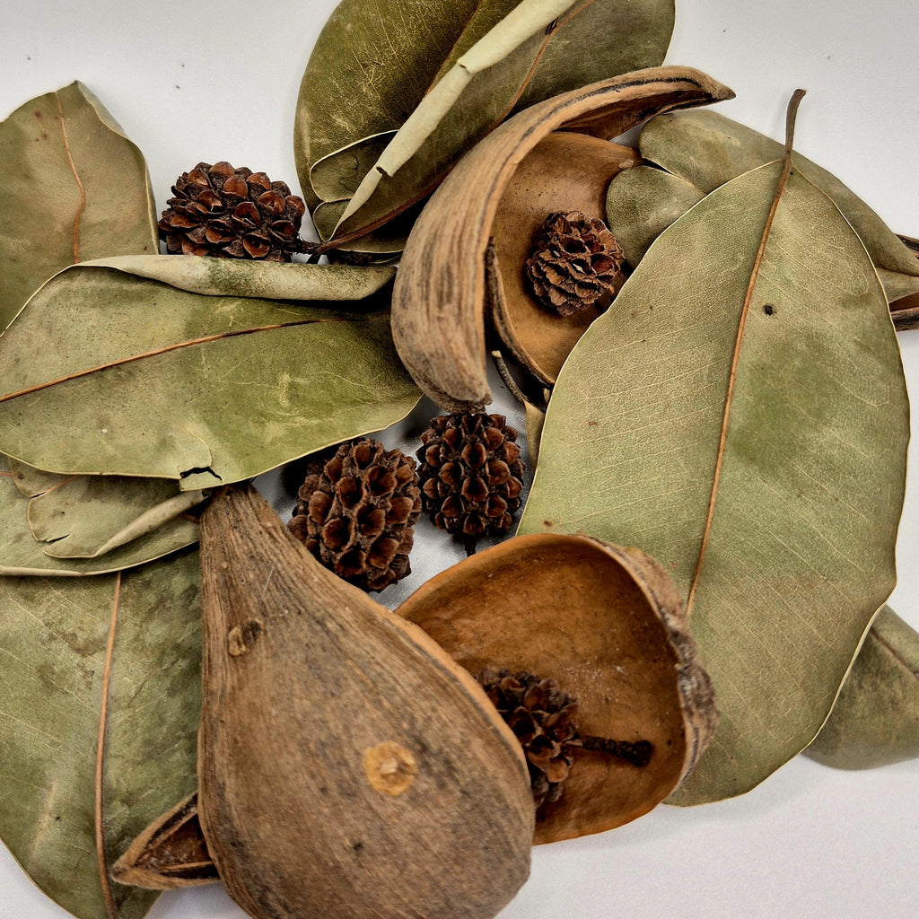Sink & Scatter Pack – Palu Leaves, Dregea Pods & Casuarina Pods