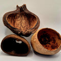 The Trio Pod Bundle – Badam, Bael & Palm Pods